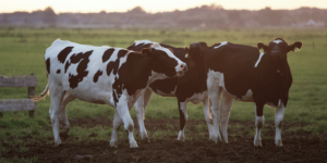 ERP系统是什么?指的是什么?