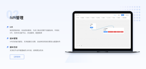 IVR系统的主要功能特点有什么？